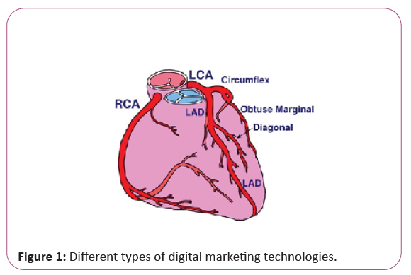 anatomical-digital marketing